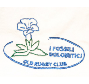 FOSSILI DOLOMITICI OLD RUGBY
